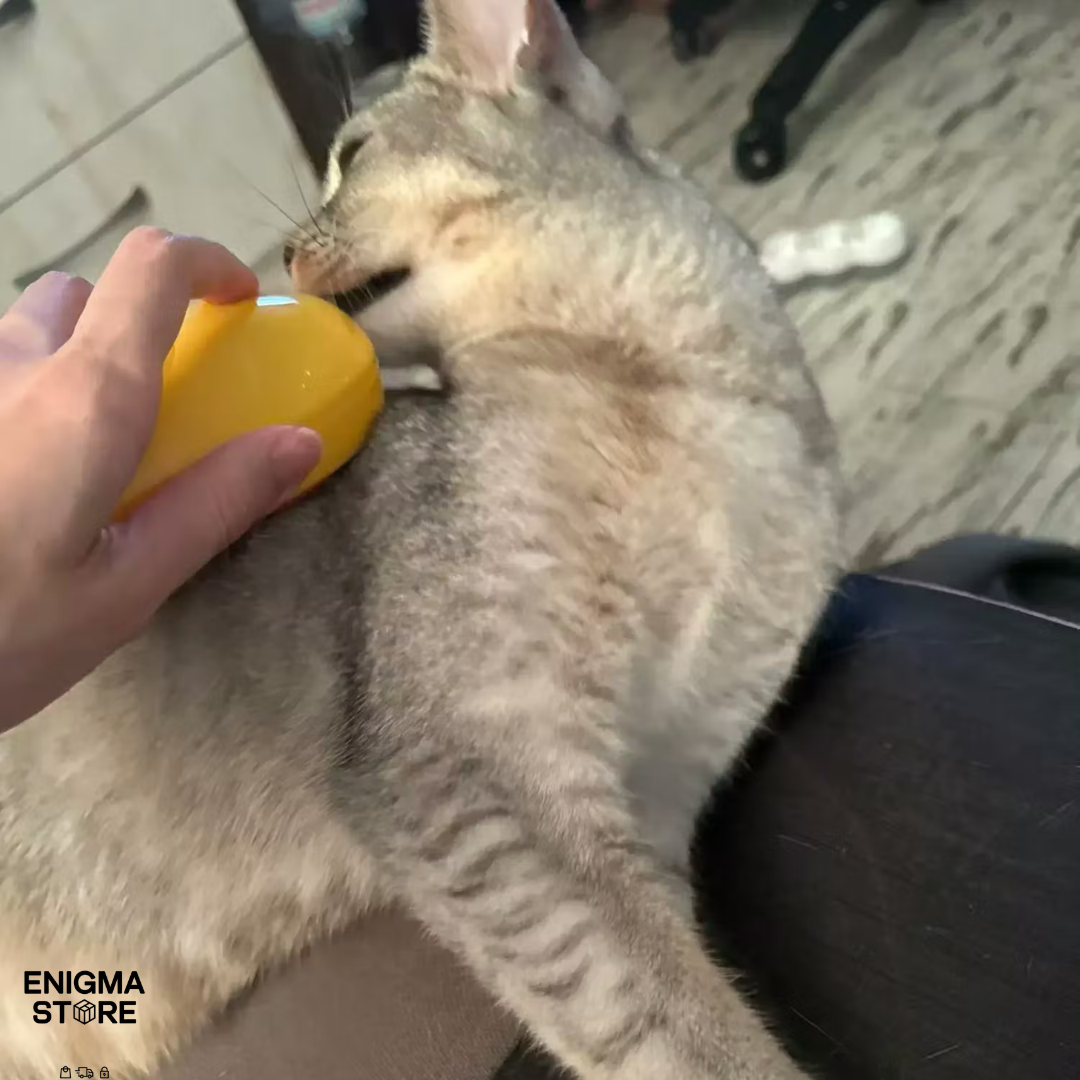 Cepillo de Vapor para Mascotas